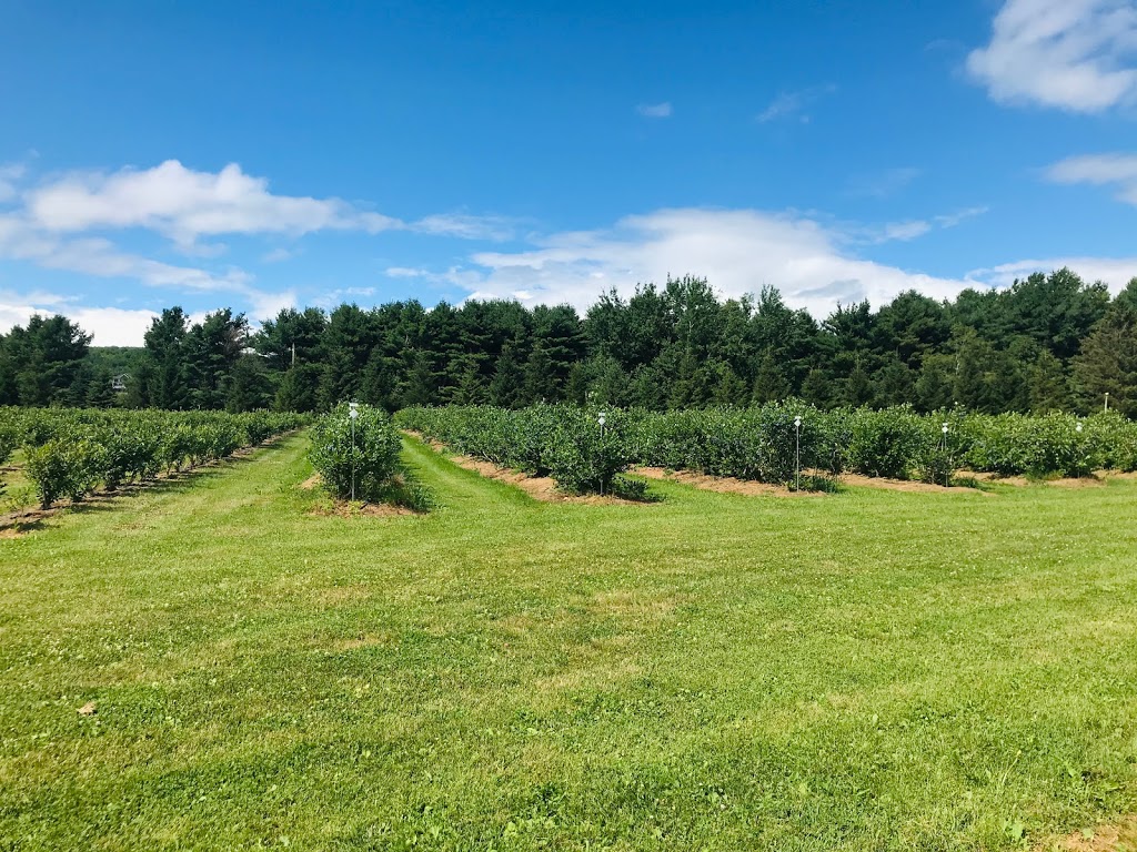 Blue Ridge Farm | 220 Arnold Rd, Waterville, NS B0P 1V0, Canada | Phone: (902) 691-1945