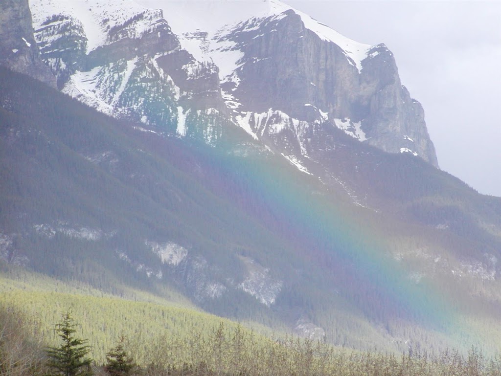 Homestead Bed & Breakfast | 168 Charles Carey, Canmore, AB T1W 2R4, Canada | Phone: (403) 678-8166