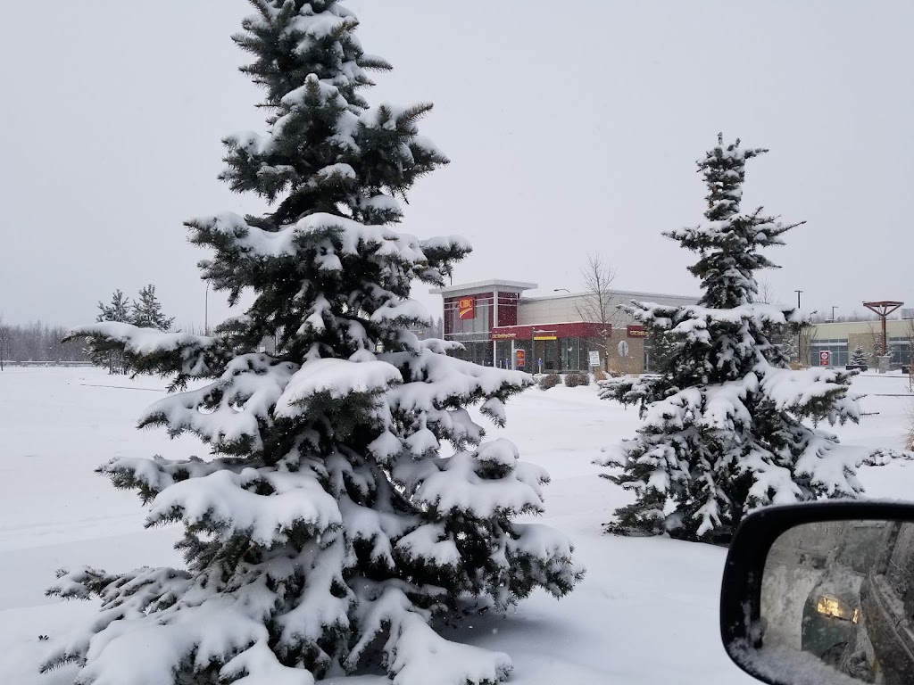 West Henday Promenade | 1004 Webber Greens Dr NW, Edmonton, AB T5T 0X1, Canada | Phone: (780) 423-6931