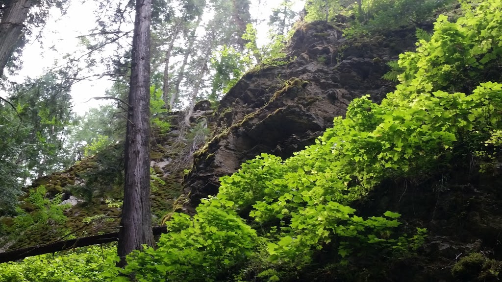 Herald Provincial Park | 4861 Sunnybrae-Canoe Point Rd, Tappen, BC V0E 2X1, Canada | Phone: (250) 320-9305