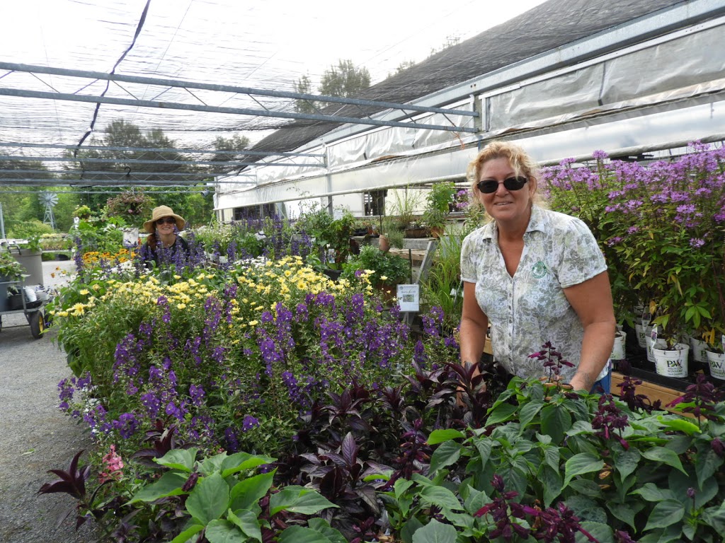Horlings Garden & Design Centre | 3056 Lakefield Rd, Peterborough, ON K9J 6X5, Canada | Phone: (705) 652-7979