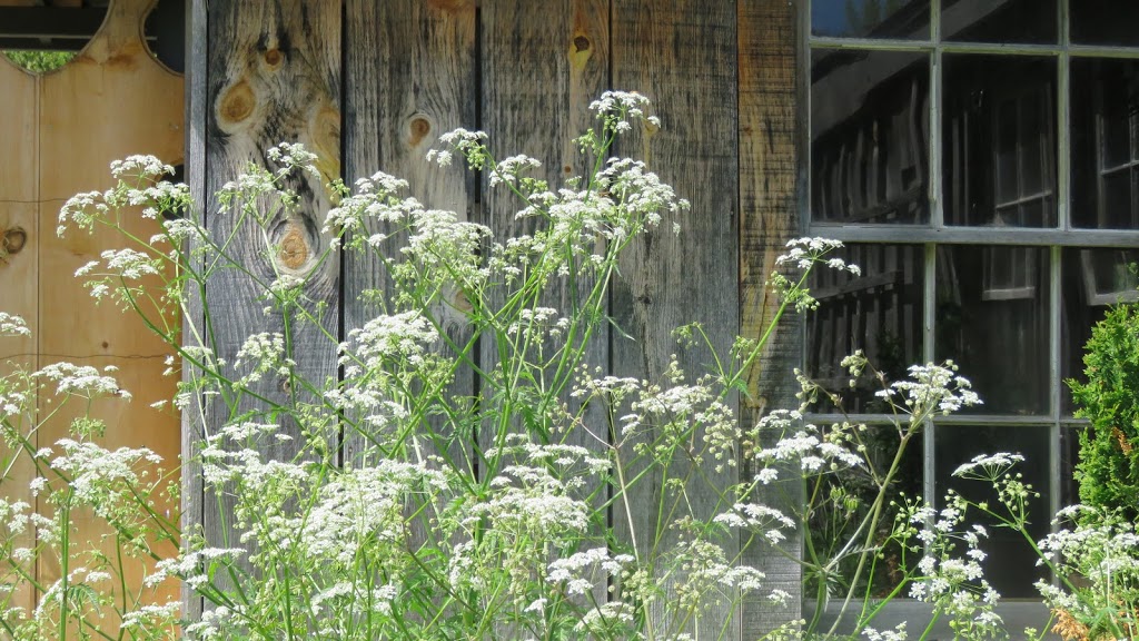 Glen Cross Pottery | 307520 Hockley Rd, Mono, ON L9W 6N1, Canada | Phone: (519) 941-6048