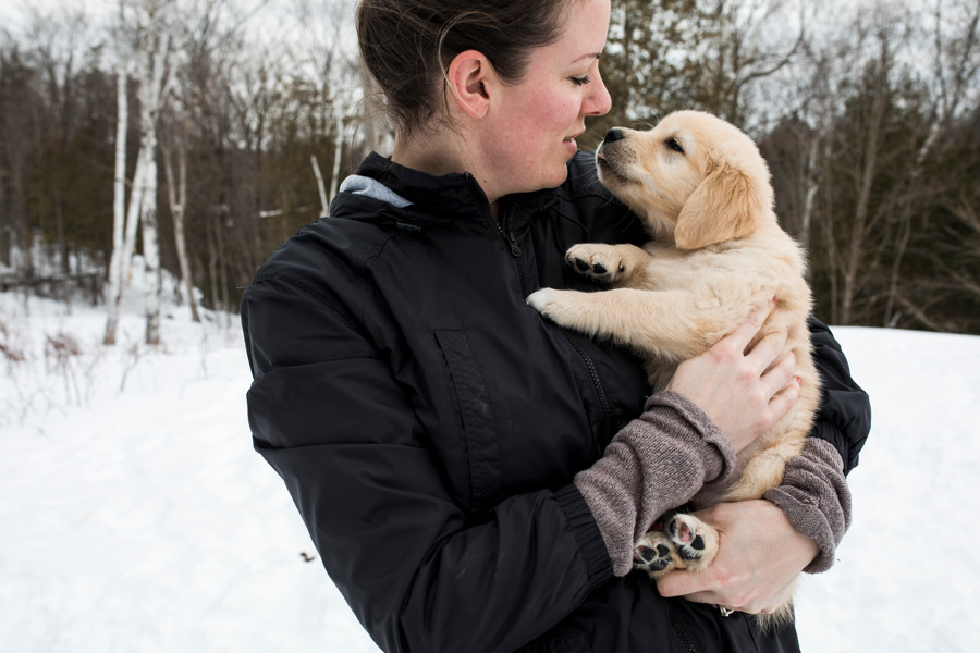 Cedar Grove Goldens | Blairhampton Rd, Minden, ON K0M 2K0, Canada | Phone: (705) 854-0959