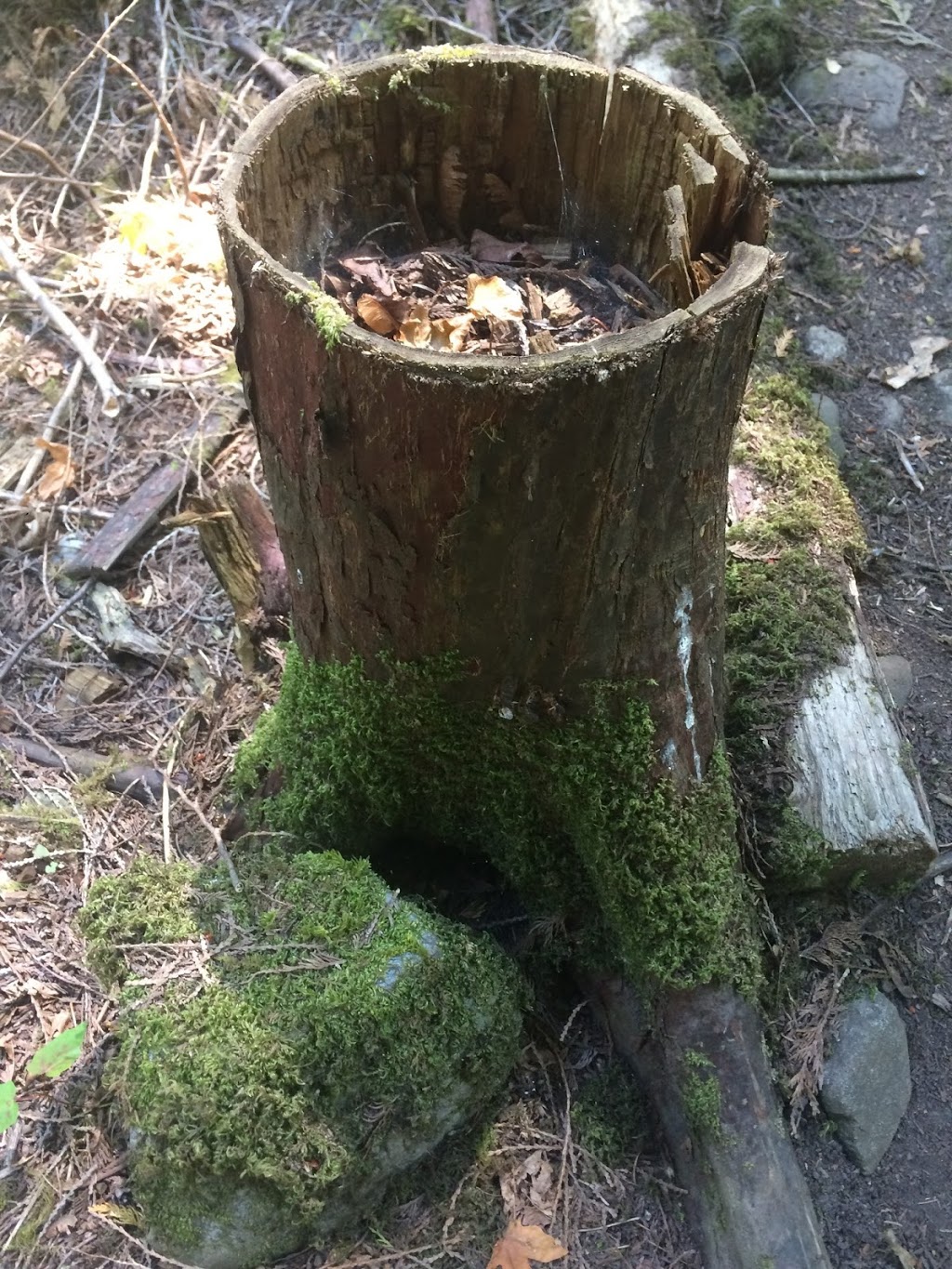 Found Road Trail | Canal Rd, Pender Island, BC V0N 2M3, Canada