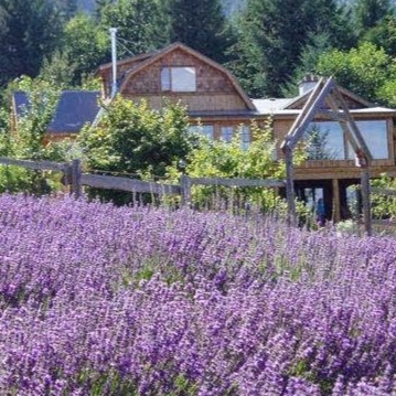 Sacred Mountain Lavender | 401 Musgrave Rd, Salt Spring Island, BC V8K 1V5, Canada | Phone: (250) 653-2315