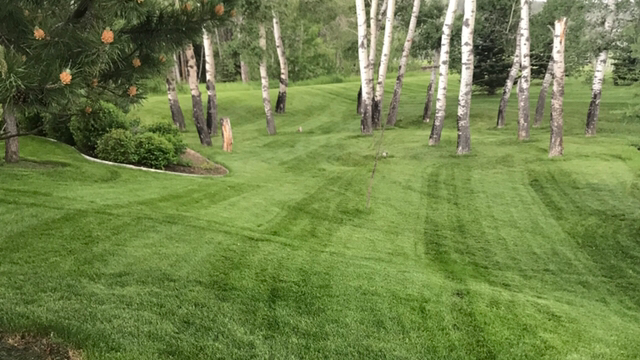 Absolute Yardworks Ltd. | 170 Valley Stream Cir NW, Calgary, AB T3B 5W1, Canada | Phone: (403) 862-0283