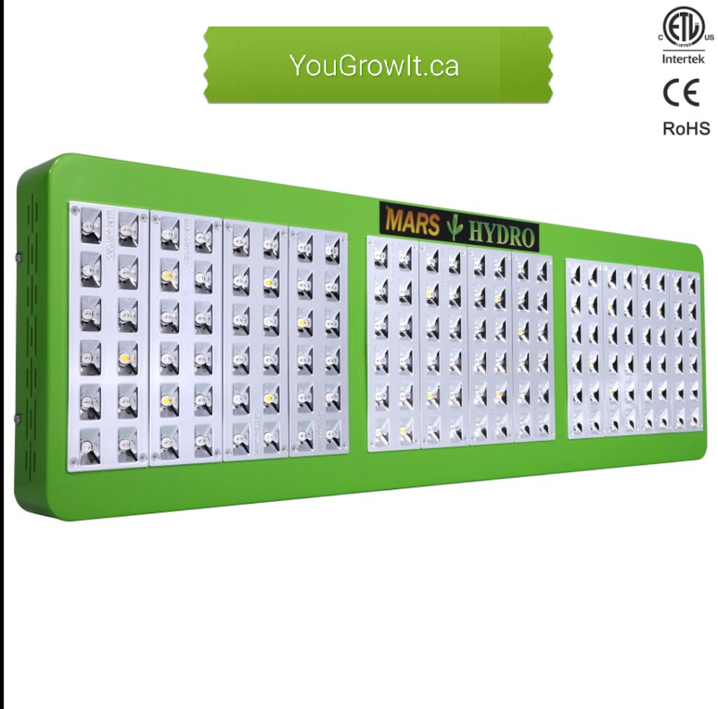 YouGrowIt.ca | 25 John Murray St, Stoney Creek, ON L8J 1C5, Canada | Phone: (905) 978-7468