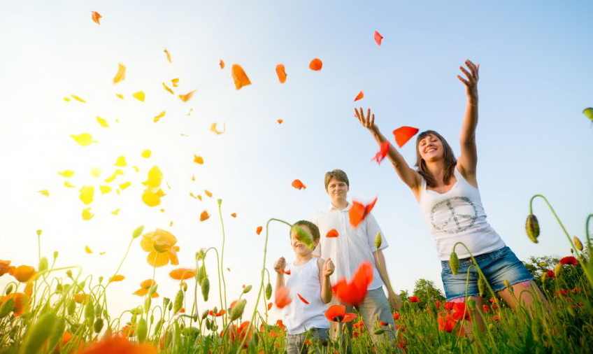 Stress Free Pharmacy | 3471 Lake Shore Blvd W, Etobicoke, ON M8W 1N2, Canada | Phone: (416) 255-6669