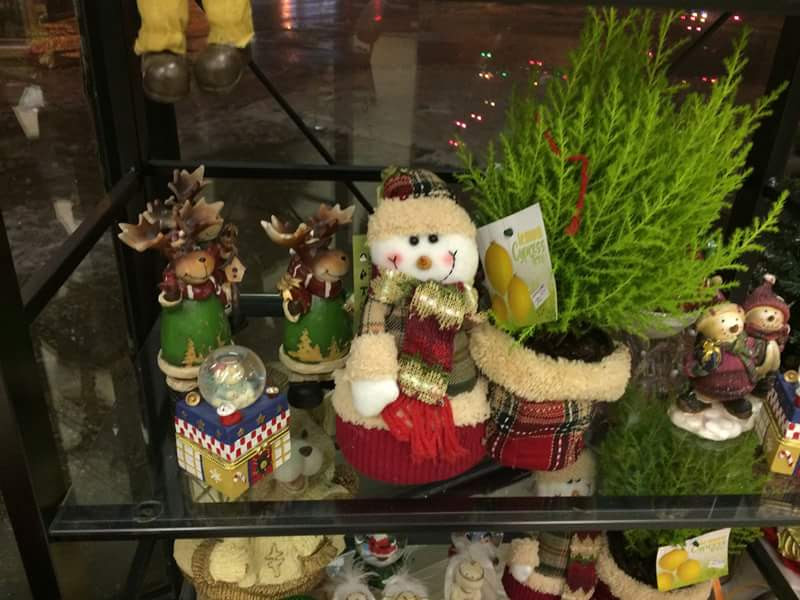Lakewood Florist & Gifts Ltd | 310 St Annes Rd, Winnipeg, MB R2M 4Z5, Canada | Phone: (204) 255-1722