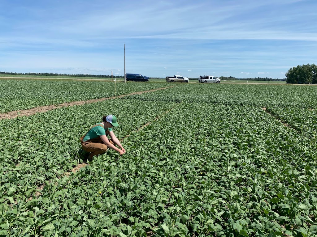 ENtegrity Ag Solutions | 53207 Range Rd 273, Spruce Grove, AB T7X 3N3, Canada | Phone: (780) 257-3574