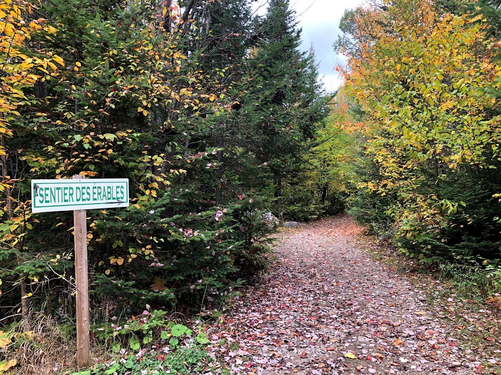 Domaine Lausanne | 150 Rte 117N, Sainte-Agathe-des-Monts, QC J8C 2Z8, Canada | Phone: (819) 326-3550