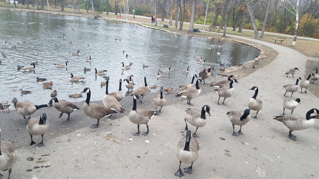St. Vital Park | 190 River Rd, Winnipeg, MB R2M 5C4, Canada | Phone: (877) 311-4974