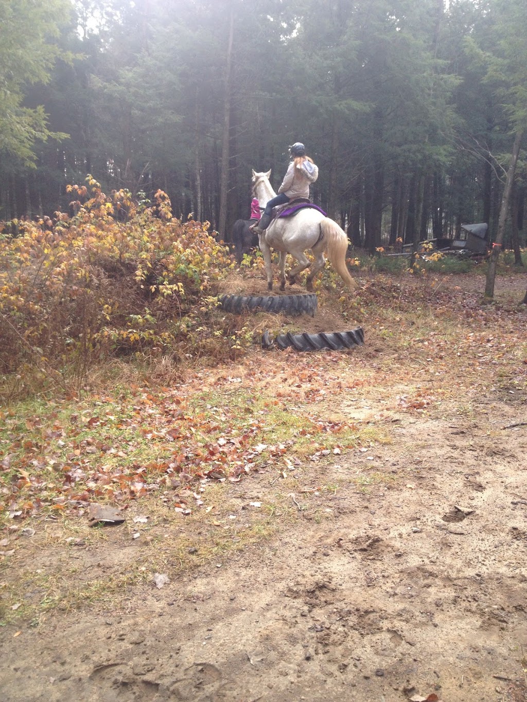 Ranch Des Petits Amis Inc (Le) | 273 Rue Edgar, Sainte-Hélène-de-Bagot, QC J0H 1M0, Canada | Phone: (450) 791-2239