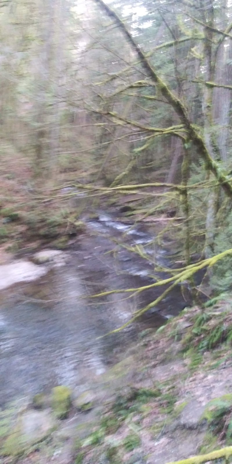 Whatcom Falls Park Stone Bridge | Bellingham, WA 98229, USA