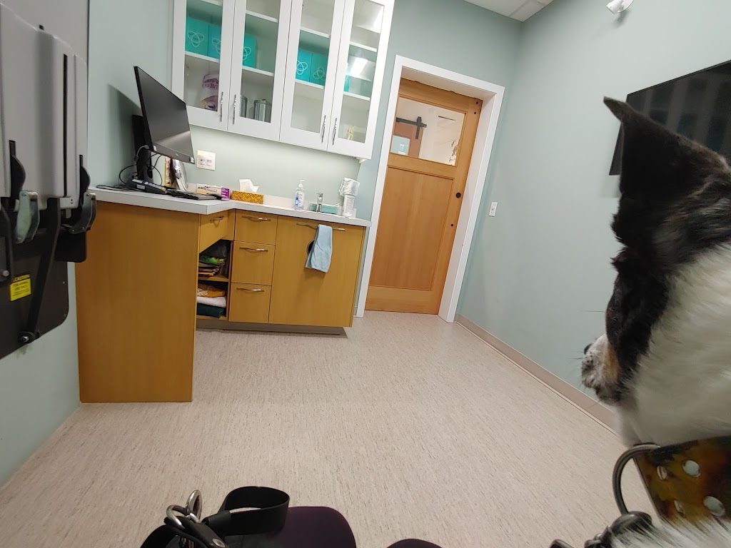 Riverwood Veterinary Clinic - 855 Village Dr #130, Port Coquitlam, BC