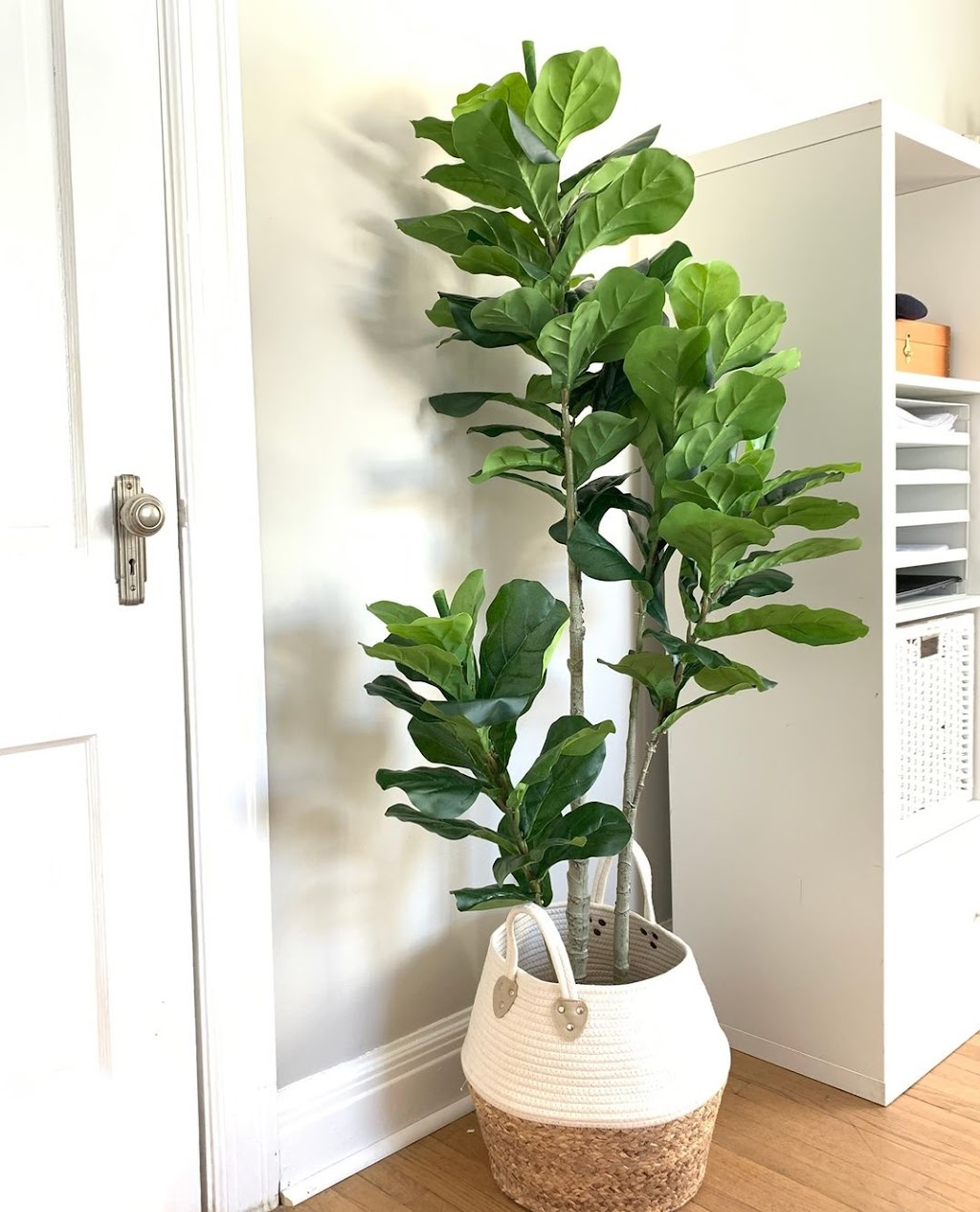 artiplanto decorations | 1670 QC-117, Val-David, QC J0T 2N0, Canada | Phone: (855) 722-1818