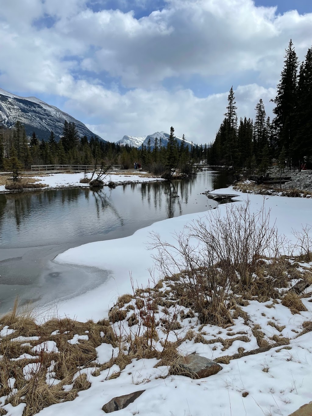 Alpine Helicopters Inc. | 91 Bow Valley Trail, Canmore, AB T1W 1N8, Canada | Phone: (403) 678-4802