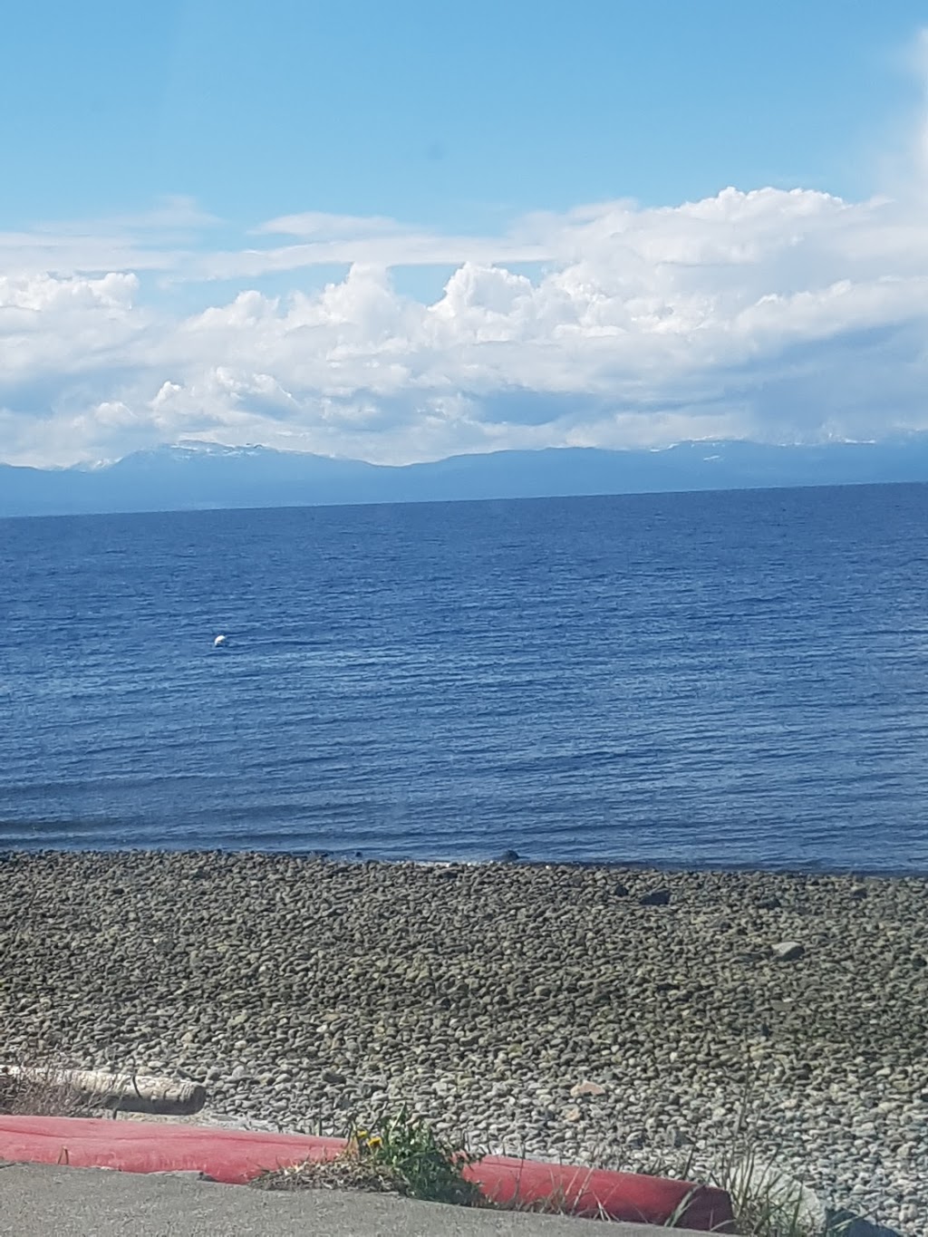 Wheatberries Bakery | 4786 Sunshine Coast Hwy, Sechelt, BC V0N 3A2, Canada | Phone: (604) 741-0553
