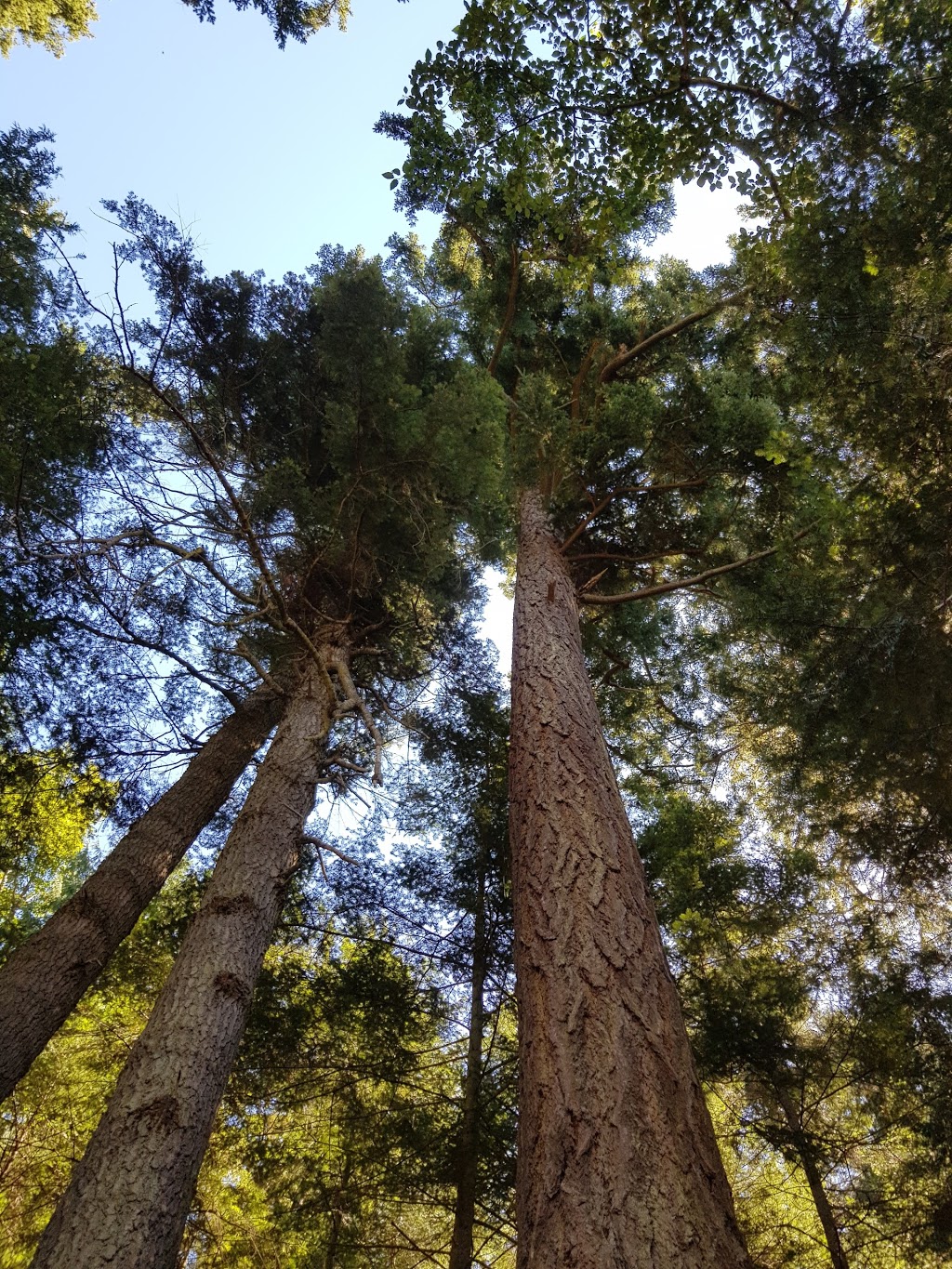 San Juan Islands National Wildlife Refuge | Eastsound, WA 98245, USA