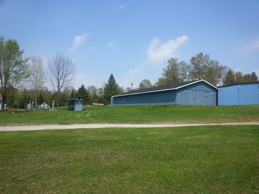Ponderosa Campground | 19332 ON-48, Mount Albert, ON L0G 1M0, Canada | Phone: (905) 473-2607