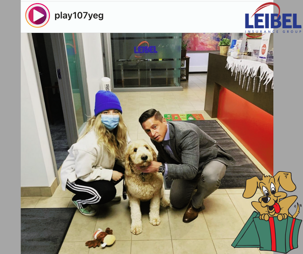 Leibel Insurance Group | 4915 54 St #14, Red Deer, AB T4N 2G7, Canada | Phone: (866) 484-8880