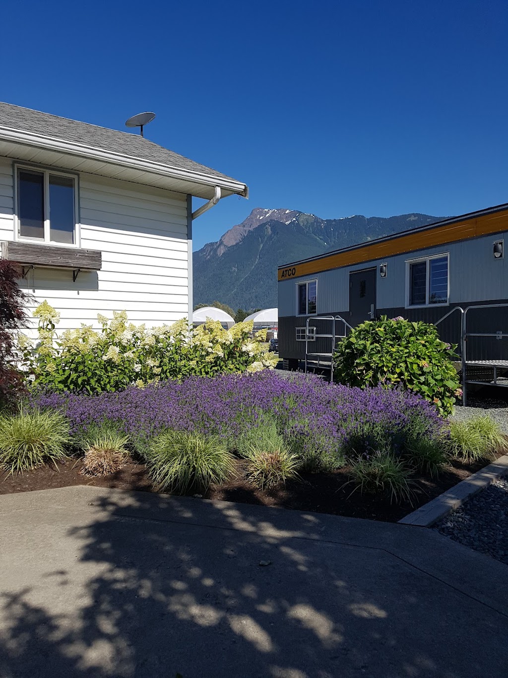 Qualitree Propagators Inc | 51546 Ferry Rd, Rosedale, BC V0X 1X2, Canada | Phone: (604) 794-3375