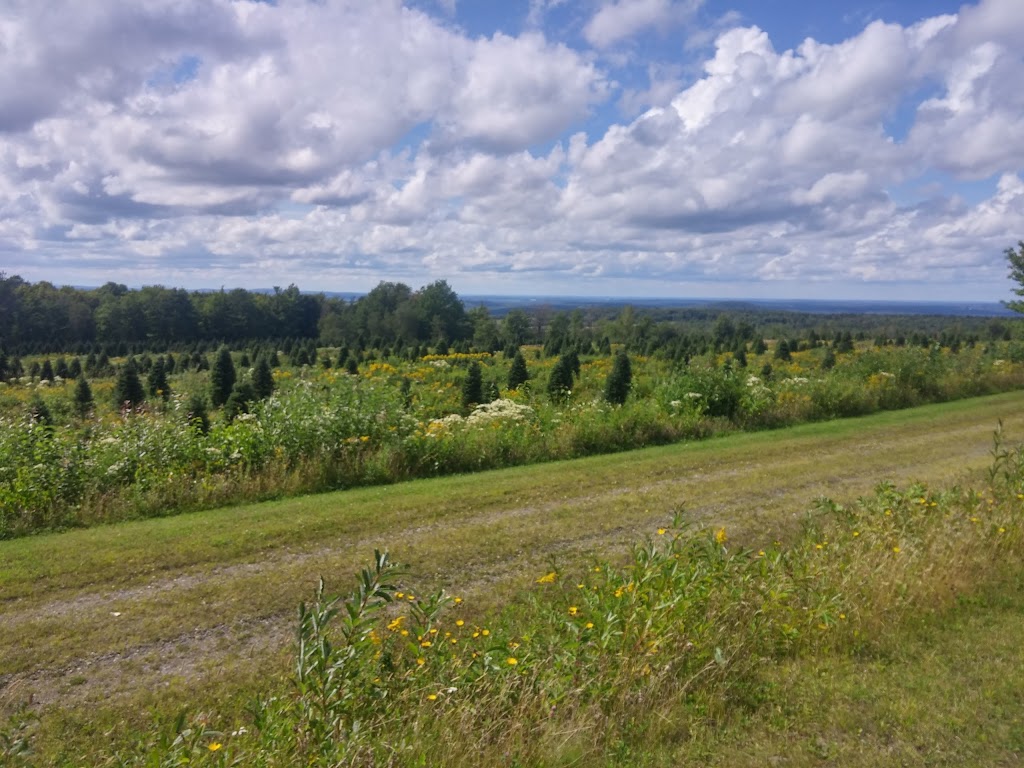 Mine Cristal | 430 Rang 11, Bonsecours, QC J0E 1H0, Canada | Phone: (450) 535-6550