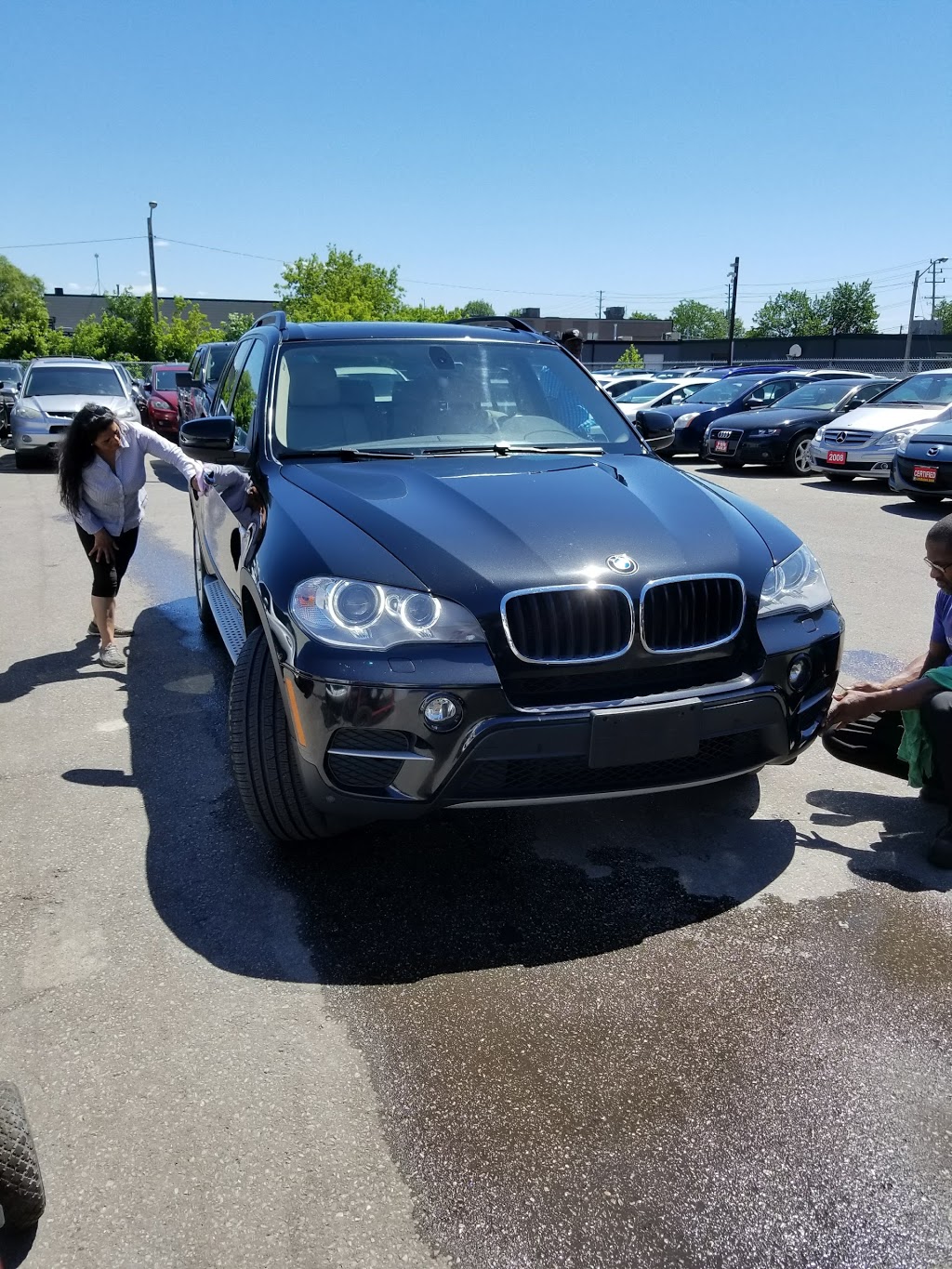 Autos lion | 825 Kipling Ave, Etobicoke, ON M8Z 5G8, Canada | Phone: (289) 335-7011