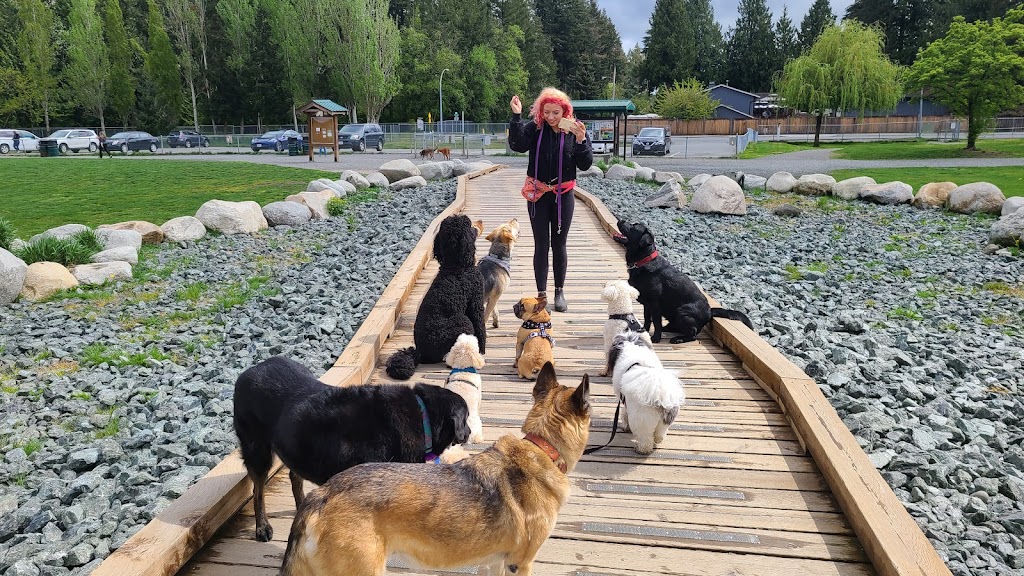 Dog Days Dog Walking | Crescent Rd, Surrey, BC V4A 5R7, Canada | Phone: (506) 470-8856