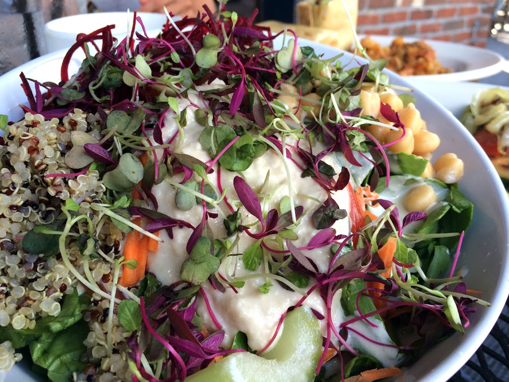 The Steer Restaurant & Saloon | 3151 Main St, Buffalo, NY 14214, USA | Phone: (716) 838-0478