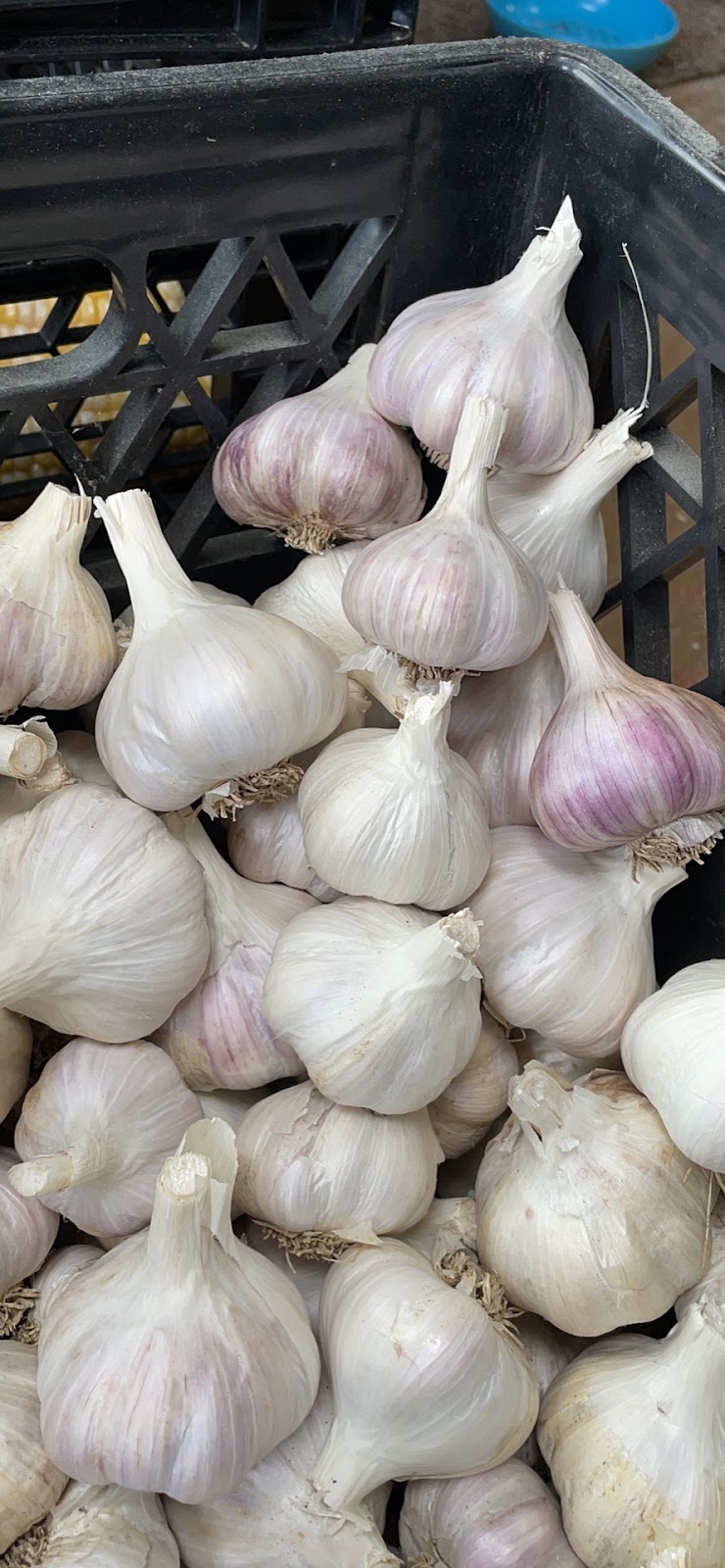 Black Label Farm Stand | 6199 Dunboyne Rd, Courtenay, BC V9J 1M8, Canada | Phone: (250) 709-2645
