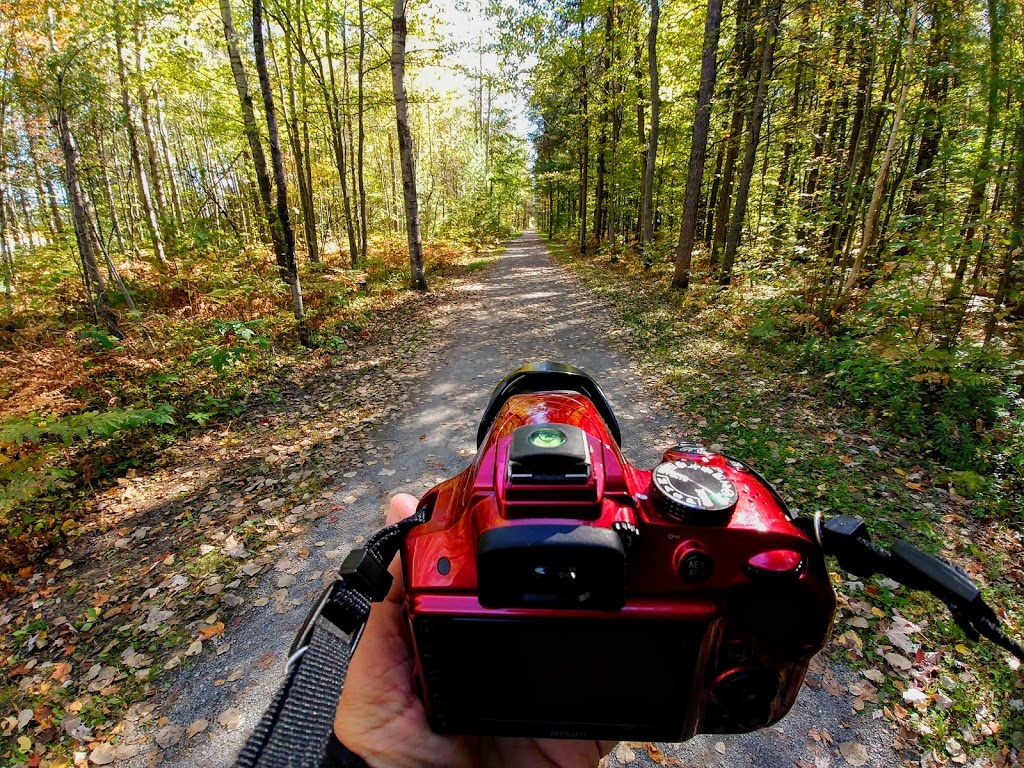 Parc Arthur-Vaillancourt | 1325 Rue Arthur-Vaillancourt, Trois-Rivières, QC G8V, Canada