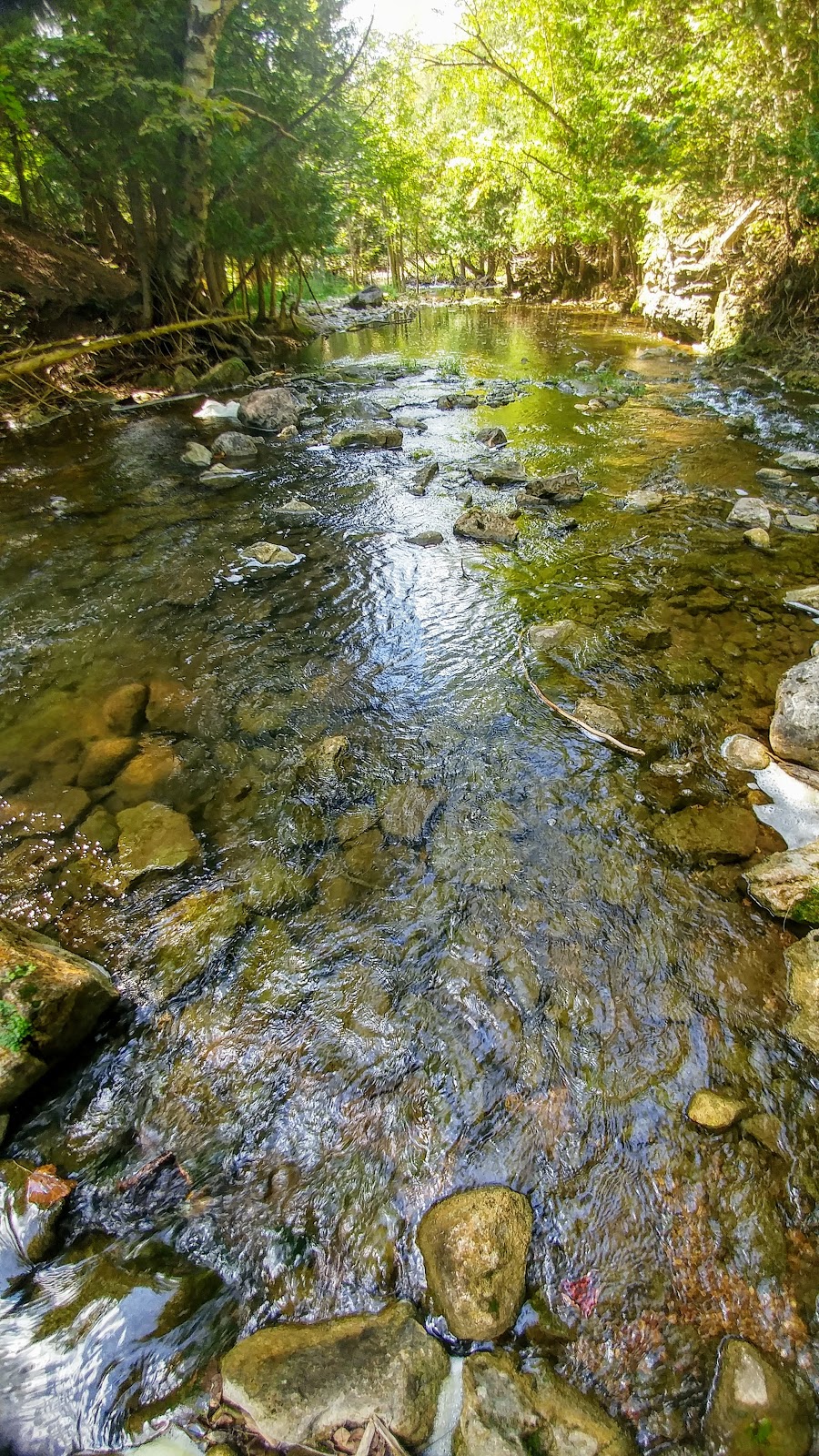 Bruce Trail | Hockley Rd, Orangeville, ON L9W 2Y8, Canada