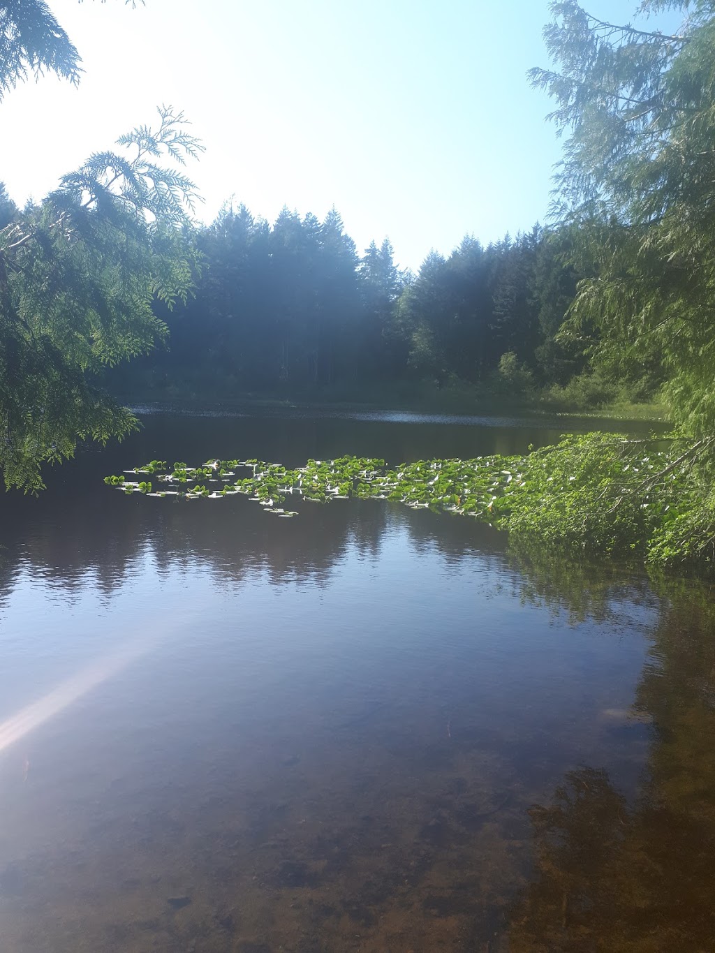 Blinkhorn Nature Park | 1194 Kangaroo Rd, Victoria, BC V9C 4C9, Canada