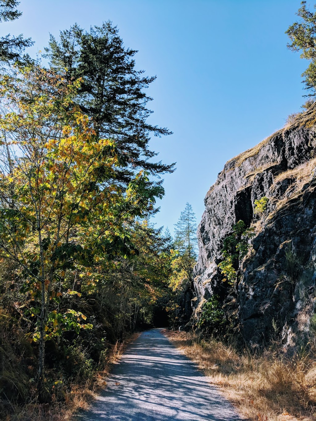 Roche Cove Regional Park - Parking Lot | Galloping Goose Trail, Sooke, BC V9Z 0Z3, Canada