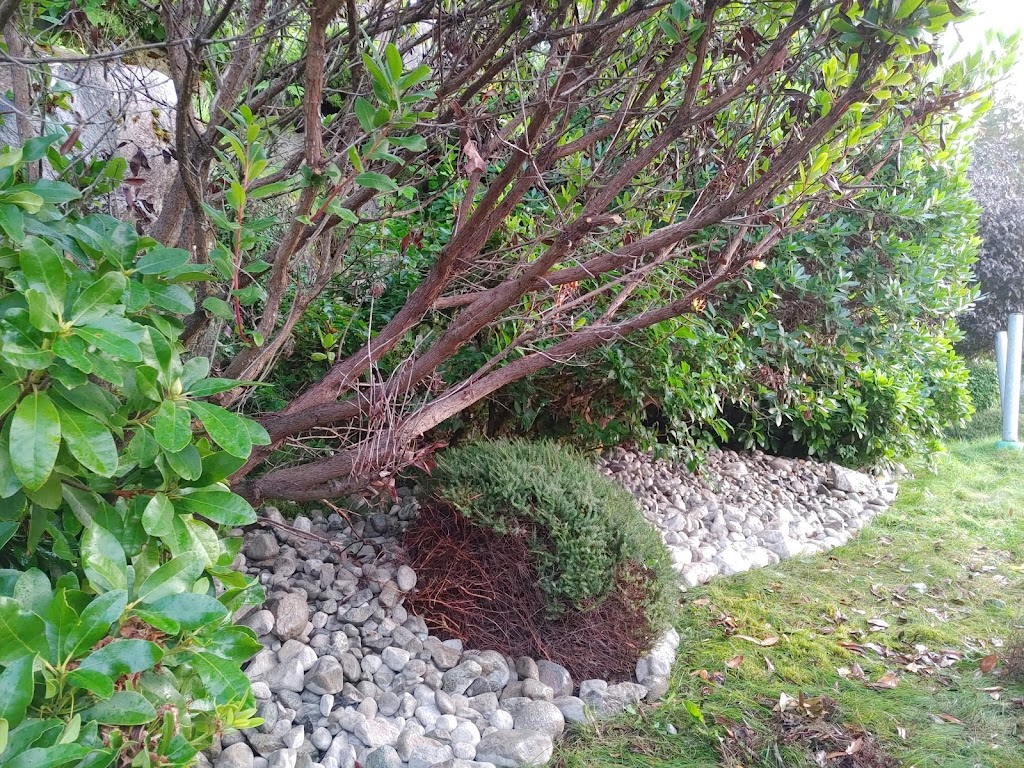 Neil&Co. Home and Gardenworks | 40101 The Crescent, Squamish, BC V8B 1A1, Canada | Phone: (514) 994-5162