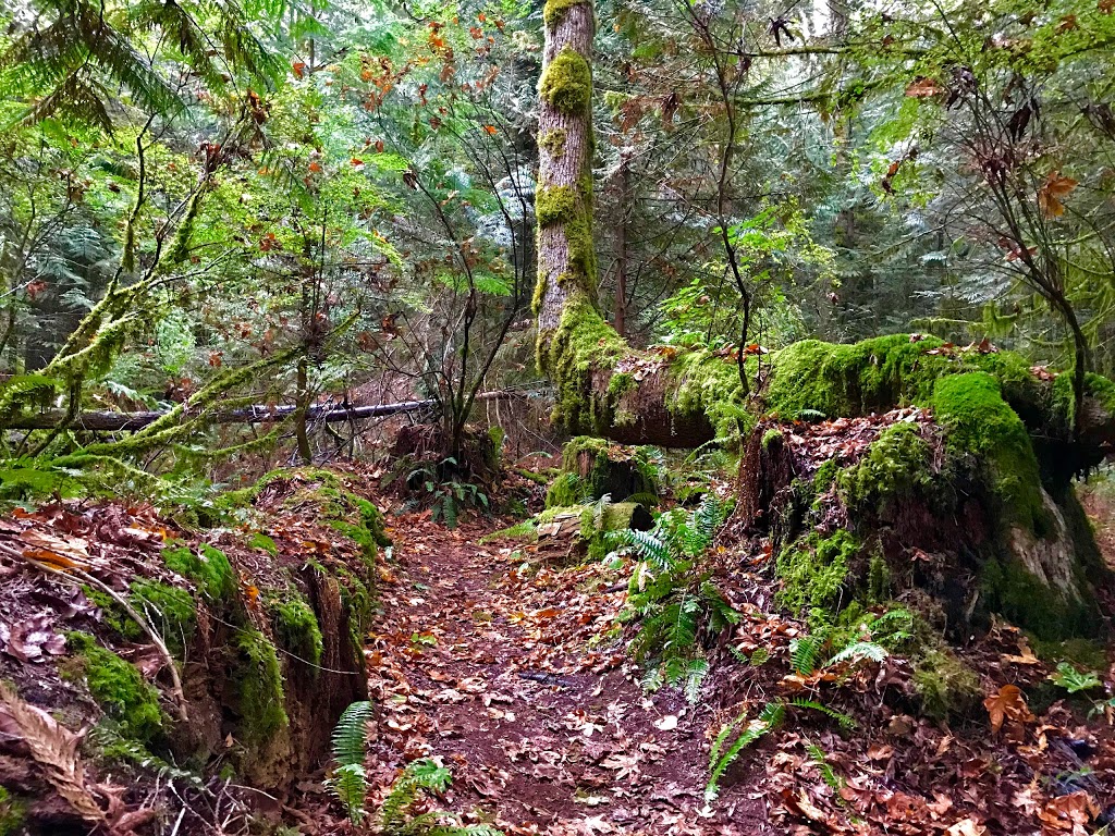 Wulaam (Echo) Park | 3217 Channel Blvd, Chemainus, BC V0R 1K2, Canada