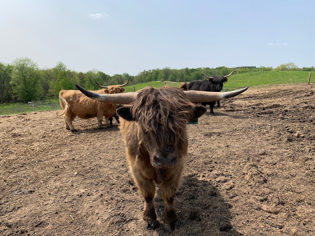 DNAs Farm | 45754 Fordwich Line, Clifford, ON N0G 1M0, Canada | Phone: (519) 573-5283
