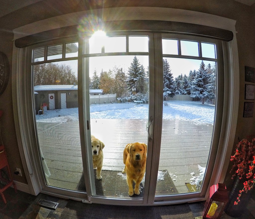 Glacier Glass Service Ltd | 410 Quebec St, Regina, SK S4R 1K7, Canada | Phone: (306) 545-3990