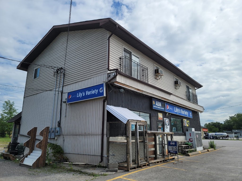 Lilys Variety | 109 Lindsay St, Fenelon Falls, ON K0M 1N0, Canada | Phone: (705) 887-2178