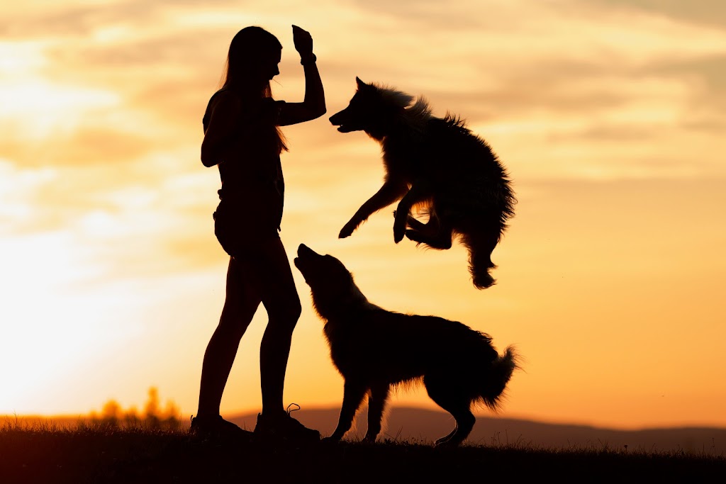 Alexandra Côté, entrainement canin | 3755 Chem. de lAéroport, Thetford Mines, QC G6G 5R7, Canada | Phone: (418) 334-9974