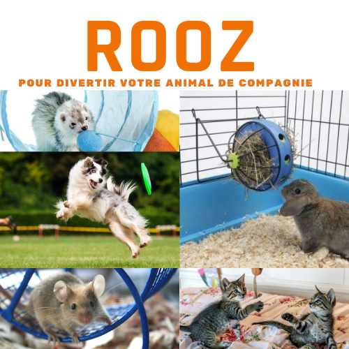 Rooz Divertissement | 885 Rue des Prés, McMasterville, QC J3G 5C7, Canada | Phone: (514) 887-5000