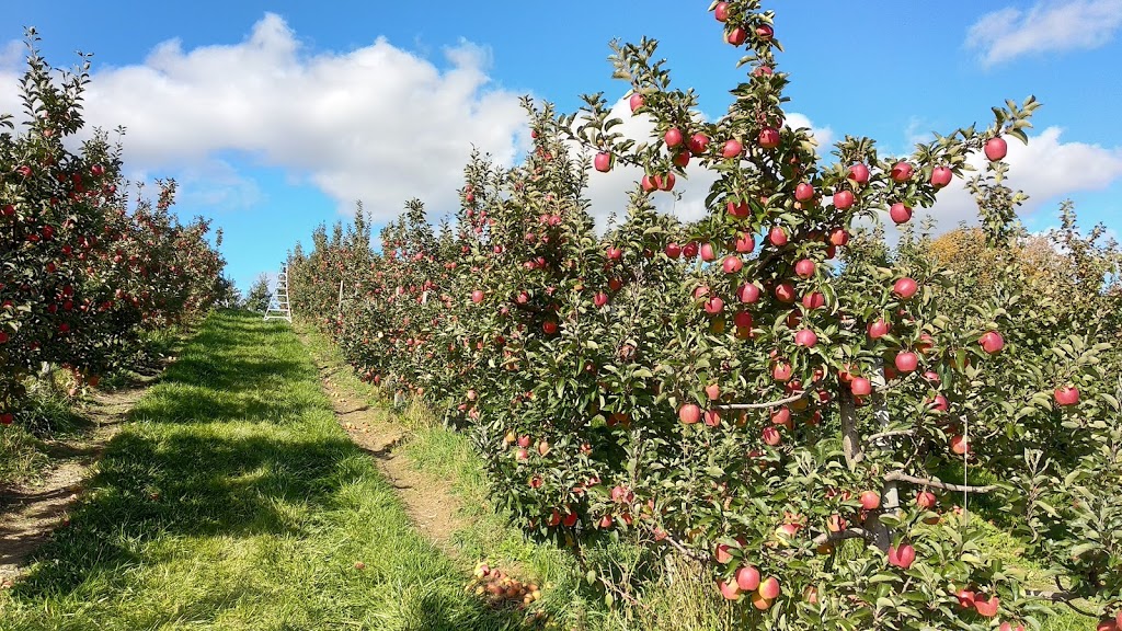 Natures Bounty Farm | 651 Scugog Line 2, Port Perry, ON L9L 1B3, Canada | Phone: (905) 985-2096