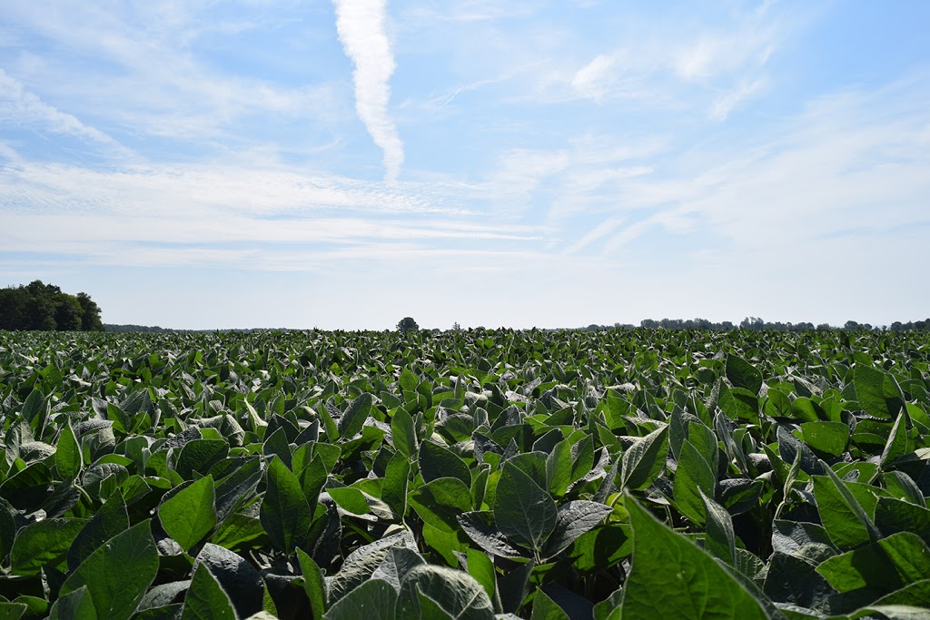Clark Agri Service | 4891 Canborough Rd, Wellandport, ON L0R 2J0, Canada | Phone: (800) 222-7542