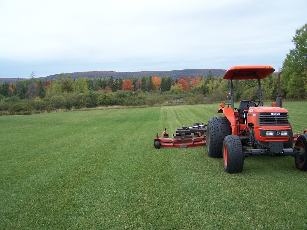 Valley Sod & Landscaping | 9535 Nova Scotia Trunk 1, Bridgetown, NS B0S 1C0, Canada | Phone: (902) 665-2645