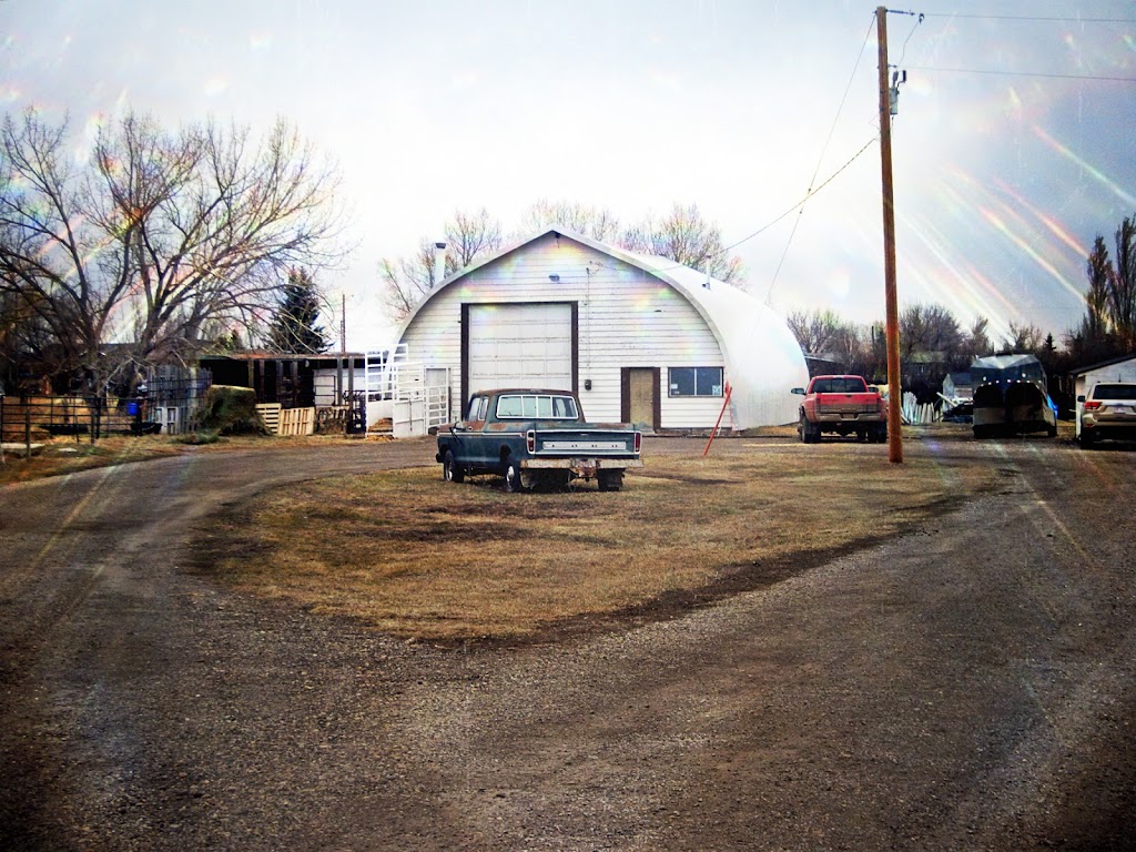 Brooks Veterinary Clinic | Cassils Rd W, Brooks, AB T1R 1C6, Canada | Phone: (403) 362-6876