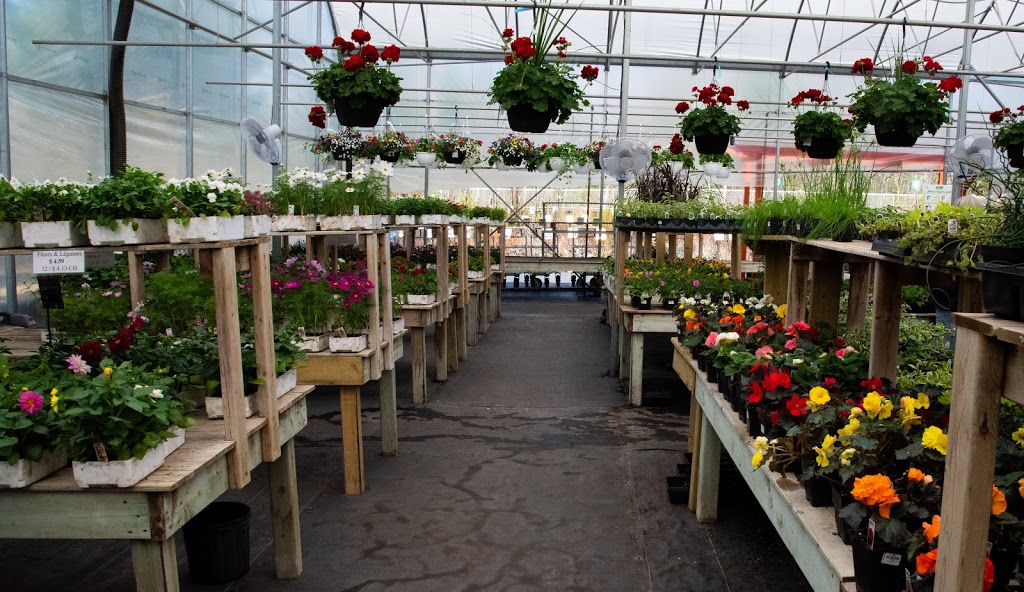 Rêves Et Jardins | 1080 Chemin Knowlton, West Brome, QC J0E 2P0, Canada | Phone: (450) 266-3820