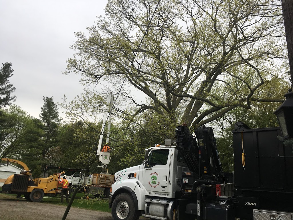Shorthills Tree Service inc | 400 Chantler Rd, Welland, ON L3B 5N8, Canada | Phone: (905) 892-0261