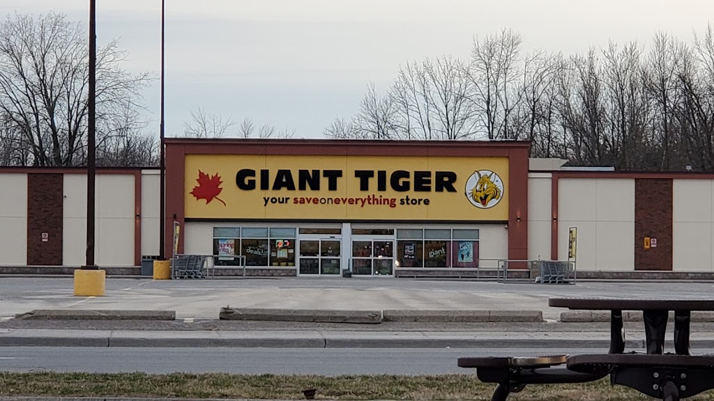 Giant Tiger | clothing store | 266 Dundas St E, Trenton, ON K8V 5Z9, Canada | 6133923138 OR +1 613-392-3138