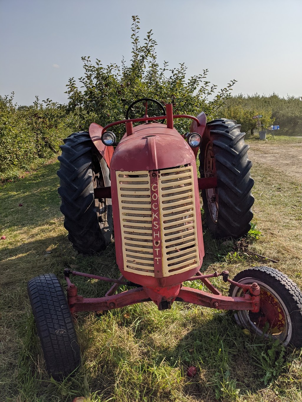 JC Agri Orchards | 3105 16th Sideroad, King City, ON L7B 1A3, Canada | Phone: (705) 817-0943
